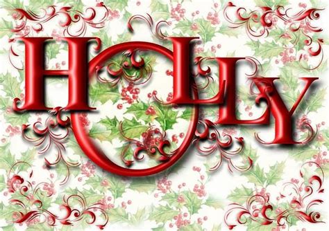 Holly Christmas Fairy Christmas Holly Christmas Images Country