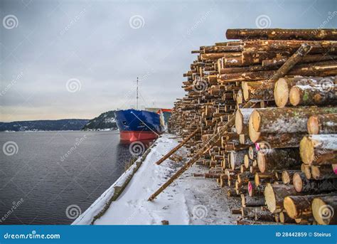 Cargo Ship Unloading Timber Royalty Free Stock Images Image 28442859
