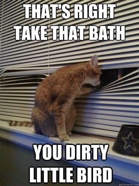 So we have found the funniest cat memes on the internet, for your personal enjoyment. 20 Most Funniest Animal Meme Pictures And Images