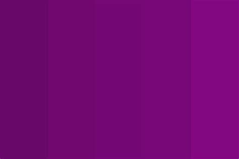 Rich Royal Purple Color Palette