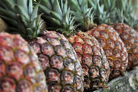 Np Pineapple Pic By Neil Palmer Ciat Pineapples On Sale Flickr