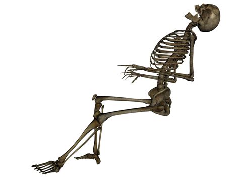 Skeleton Free Download Png Png All Png All