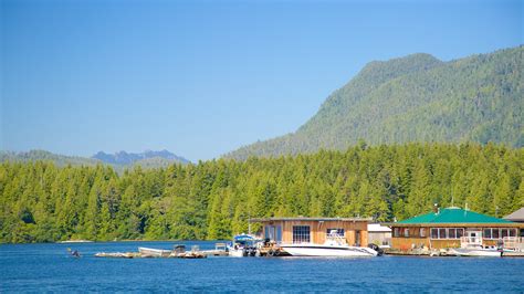 Vancouver Island Ca Holiday Accommodation From Au 94night Stayz