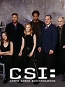 CSI: Crime Scene Investigation - Rotten Tomatoes