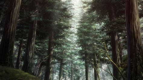 Anime Forest Scenery Forest Anime Dark Nature Hd Wallpaper Peakpx