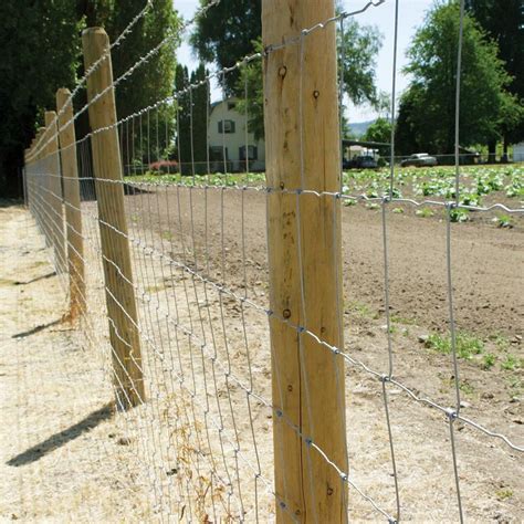 Farmgard 47 In X 330 Ft Field Fence With Galvanized Steel Class 1