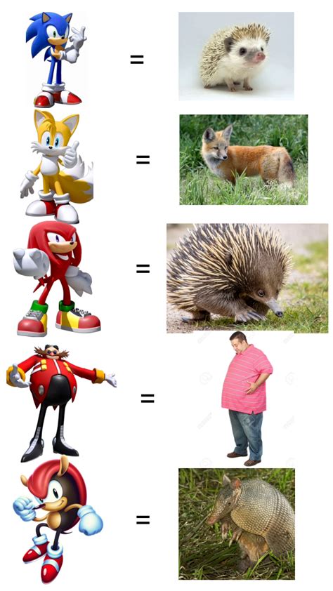 Sonic Characters Compared To Their Real Life Species Part 1 R