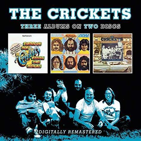 12 фраз в 2 тематиках. Crickets · Bubblegum, Bop, Ballad and Boogies / Remnants/a ...