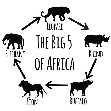Big Five Safari Tanzania The Big 5 Africa Safaris