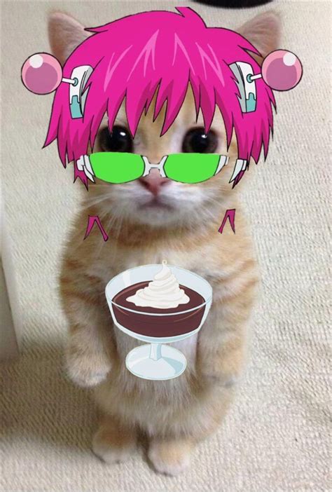 A Cat With Pink Hair And Green Glasses Holding A Cup Of Ice Cream In