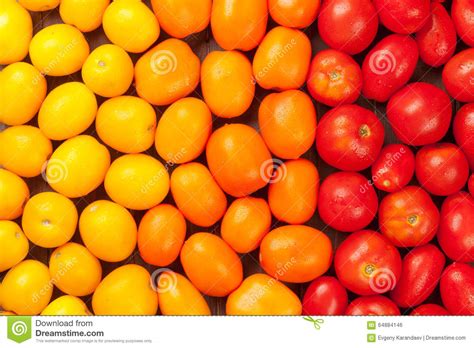 Colorful Tomatoes Yellow Orange And Red Stock Photo Image Of Market