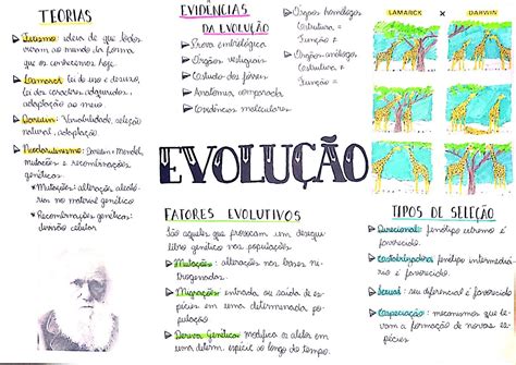 Mapa Mental Lamarck E Darwin