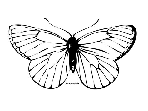 110 dessins de coloriage papillon à imprimer sur LaGuerche com Page 2