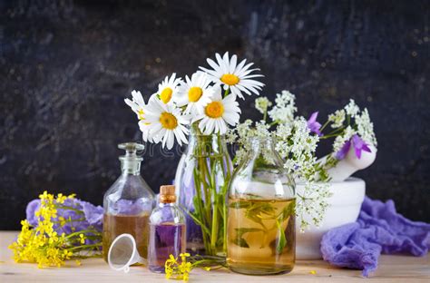 Essential Oils And Wild Flowers Stock Photo Image Of Flowers Macro