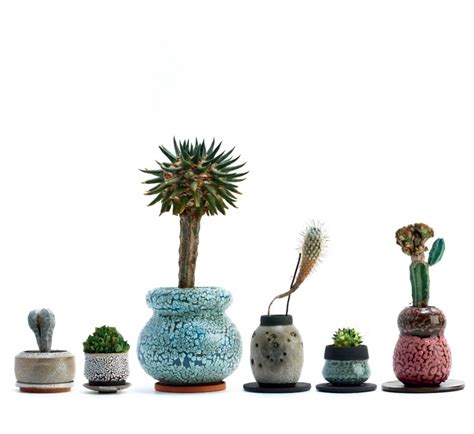 The Prettiest Plants And Pots Youve Ever Seen Sight Unseen