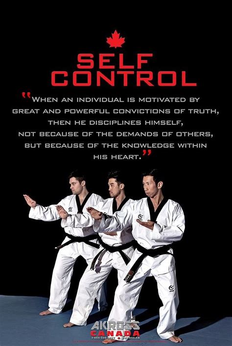 Akross Canada Taekwondo Supplies 5 Tenets Of Taekwondo Posters