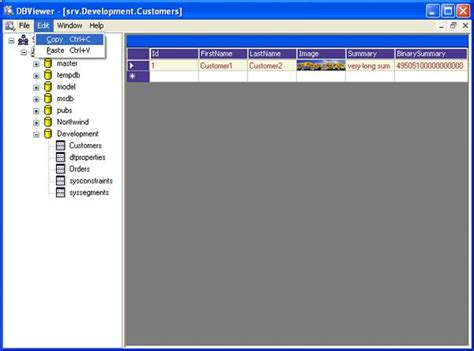 A Simple Database Viewer Dbviewer Codeproject