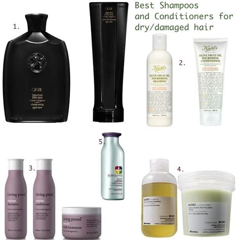 Hempster hair loss and biotin shampoo. Pin by B E C K E Y B R U M(F I E L D) on F R O M_T H E_ B ...