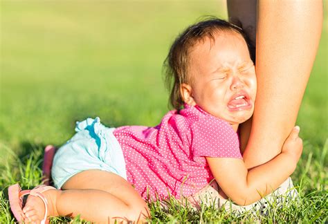 Separation Anxiety In Babies Reduce Separation Anxiety In Children