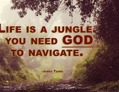 Life Is A Jungle Inspirational Quotes And Articles