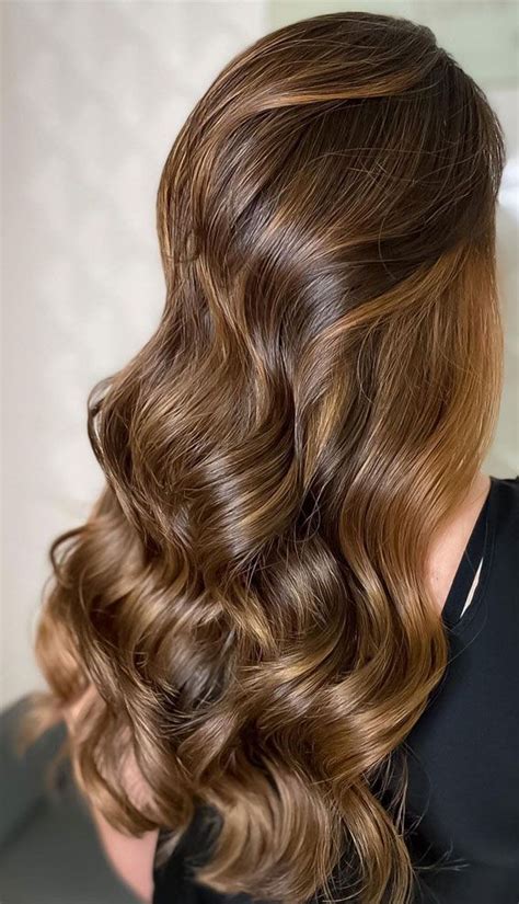 gorgeous hair colour trends for 2021 shiny brown hair colour honey brown hair honey hair