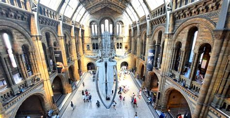 Natural History Museum Review Love From Lisa