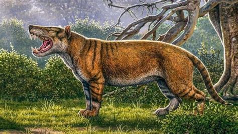 10 Huge Prehistoric Cats Listverse