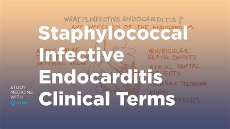 Staphylococcal Infective Endocarditis Clinical Terms Youtube