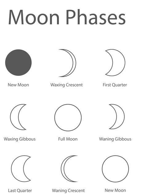 Moon Phases Coloring Sheets
