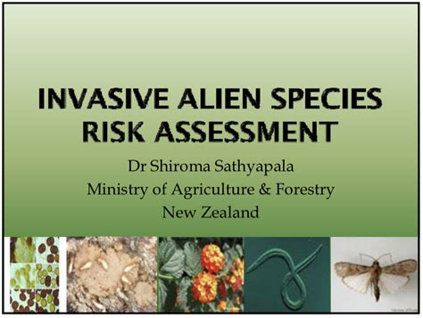 Invasive Alien Species Risk Assessment Asia Pacific Forest Invasive