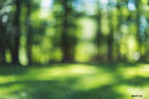 Abstract Blurred Spring Forest Background Image Stock Photo 849105
