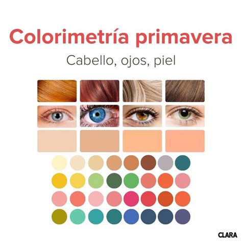 Colorimetría ¿qué Colores Te Sientan Bien