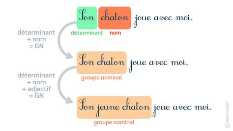 Les Classes De Mots Dans Le Groupe Nominal Cours Ce2 Français