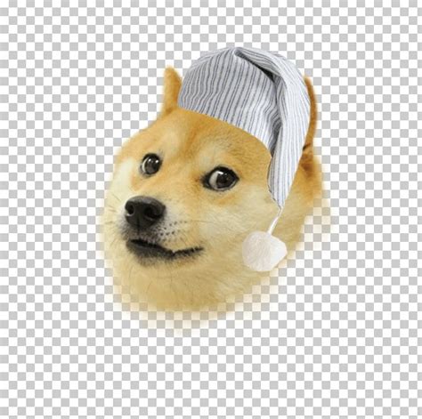 Shiba Inu 0 Doge Warrior Sticker Png Clipart 2048 Bark Carnivoran