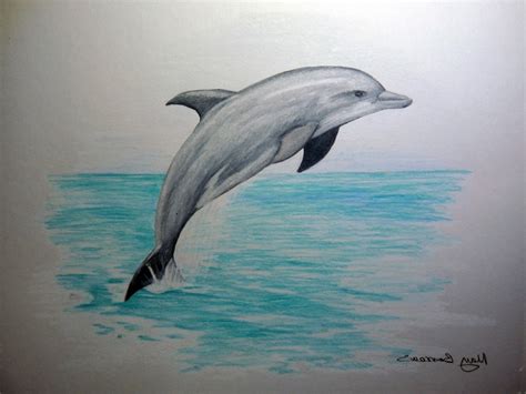 Colored Pencil Sunset Dolphin Drawing Easy Dolphin Painting Sunset