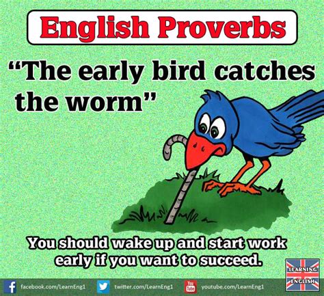 English Proverbs The Early Bird Catches The Worm Proverbs English
