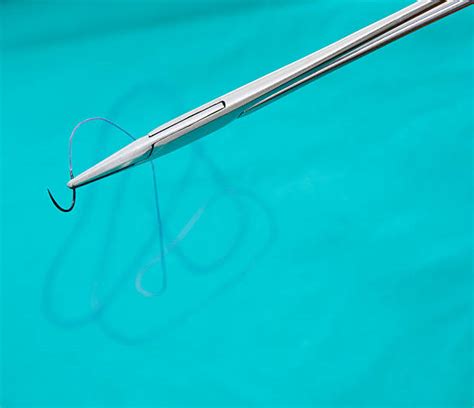 Best Surgical Suture Stock Photos Pictures And Royalty Free Images Istock