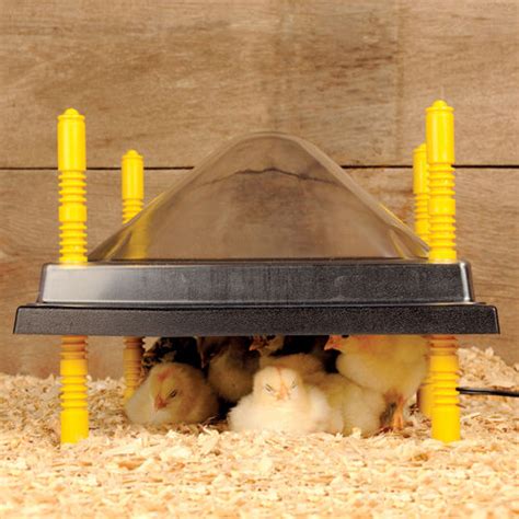 22 Watt 12x12 Keep Your Chicks Warm Chick Brooder Heating Plate With Cover