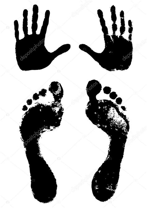 Hands And Feet Print — Stock Vector © Graphicjet 7972884
