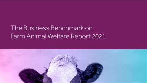 Business Benchmark On Farm Animal Welfare Etiskhandel
