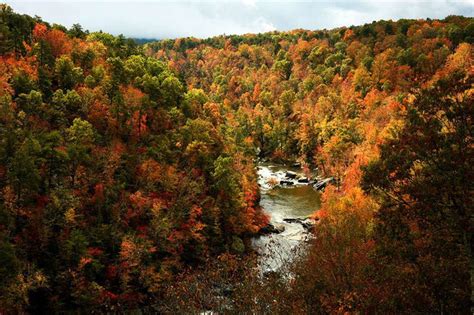 15 Places To See Autumn Foliage In Alabama It May Be Later This Year