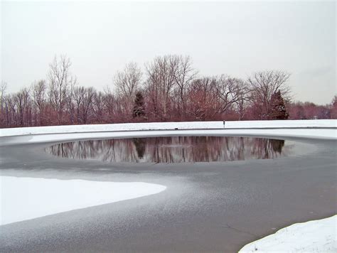 Partially Frozen Pond Free Stock Photo Public Domain Pictures