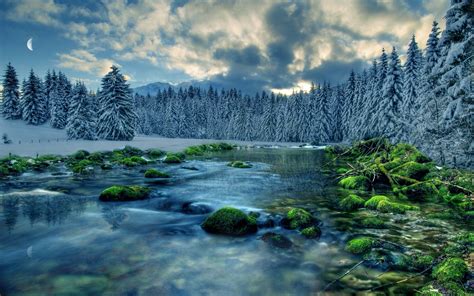 River Nature Landscape Snow Trees Wallpapers Hd Desktop And