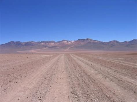 The Long Desert Road Photo
