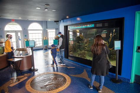 Roundhouse Aquarium On Manhattan Beach Pier Reopens To Public Daily