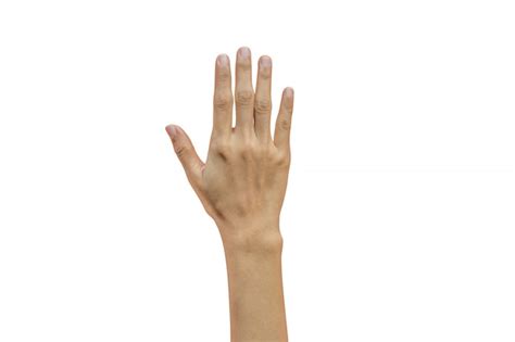 Woman Hand Showing Five Fingers Photo Premium Download