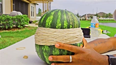 Setting A New World Record How Many Rubber Bands Can We Put On This Watermelon Youtube