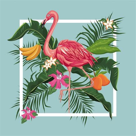 Flamingo Pássaro Mango Banana Folhas Exótico Tropical Vetor Premium