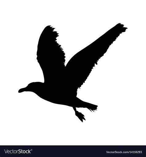 Seagull Flying Silhouette Isolated On White Vector Image