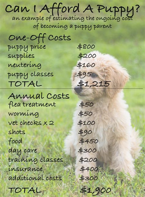 How Much Does It Cost To Maintain A Dog